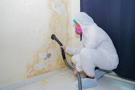 Mold Documentation for Insurance Claims in East Bakersfield, CA